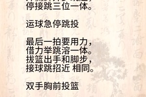 如何通过总决赛比赛录像学习防守技巧:篮球爱好者的进阶指南